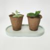 Base multiusos oval em resina ecológica verde água. Apresenta-se sobre um fundo branco com dois vasinhos de suculentas em cima.