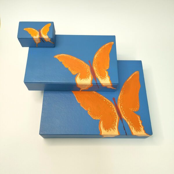 Caixa azul com borboleta