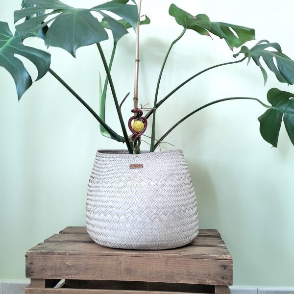 Cesta artesanal em folha de palma natural, tamanho grande. Está exposta com uma Monstera dentro, em cima de uma base de madeira e a parede é verde claro.