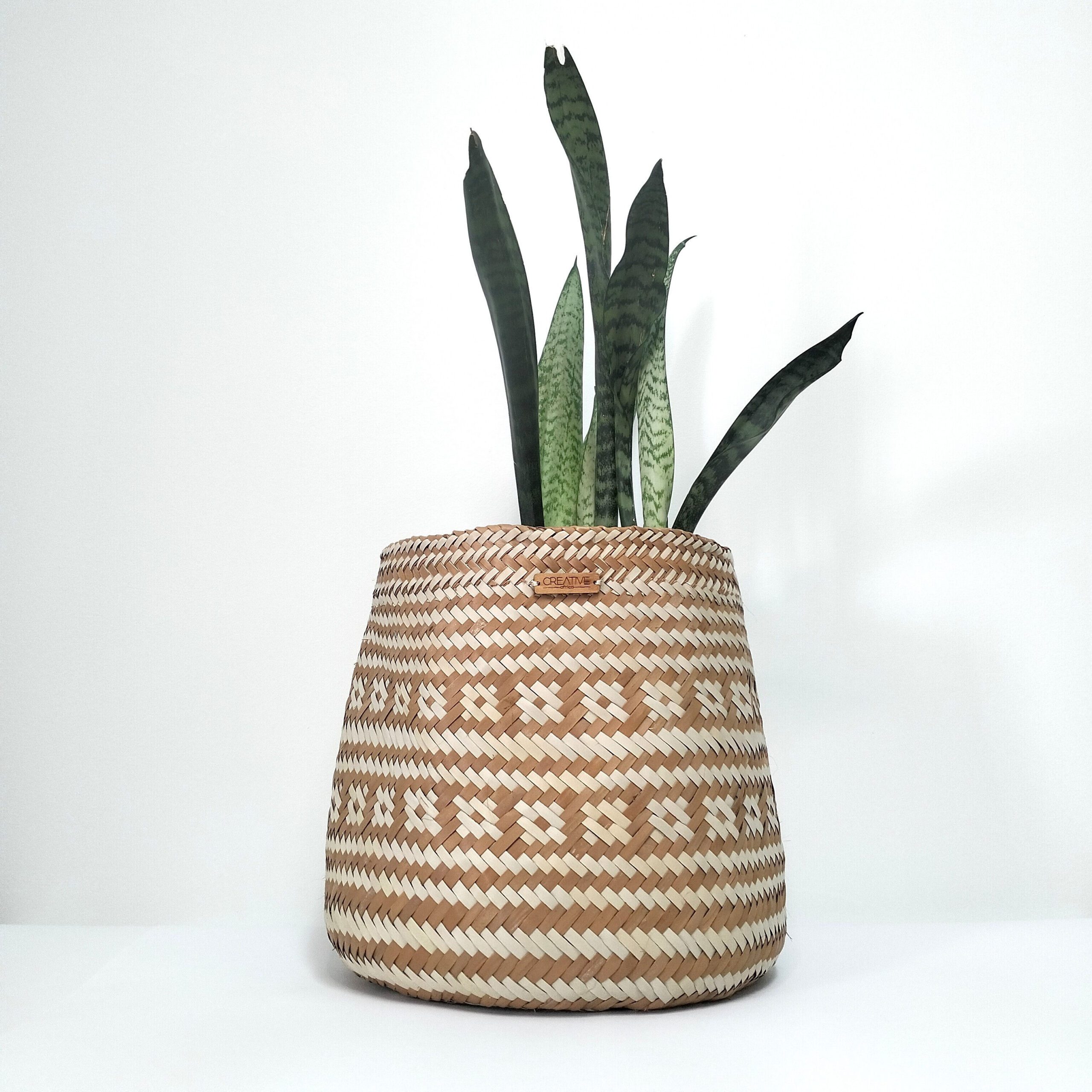 Cesta artesanal em folha de palma com padrão natural e laranja de tamanho médio. Está com planta dentro sobre um fundo branco.