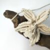Macramé em tronco menor