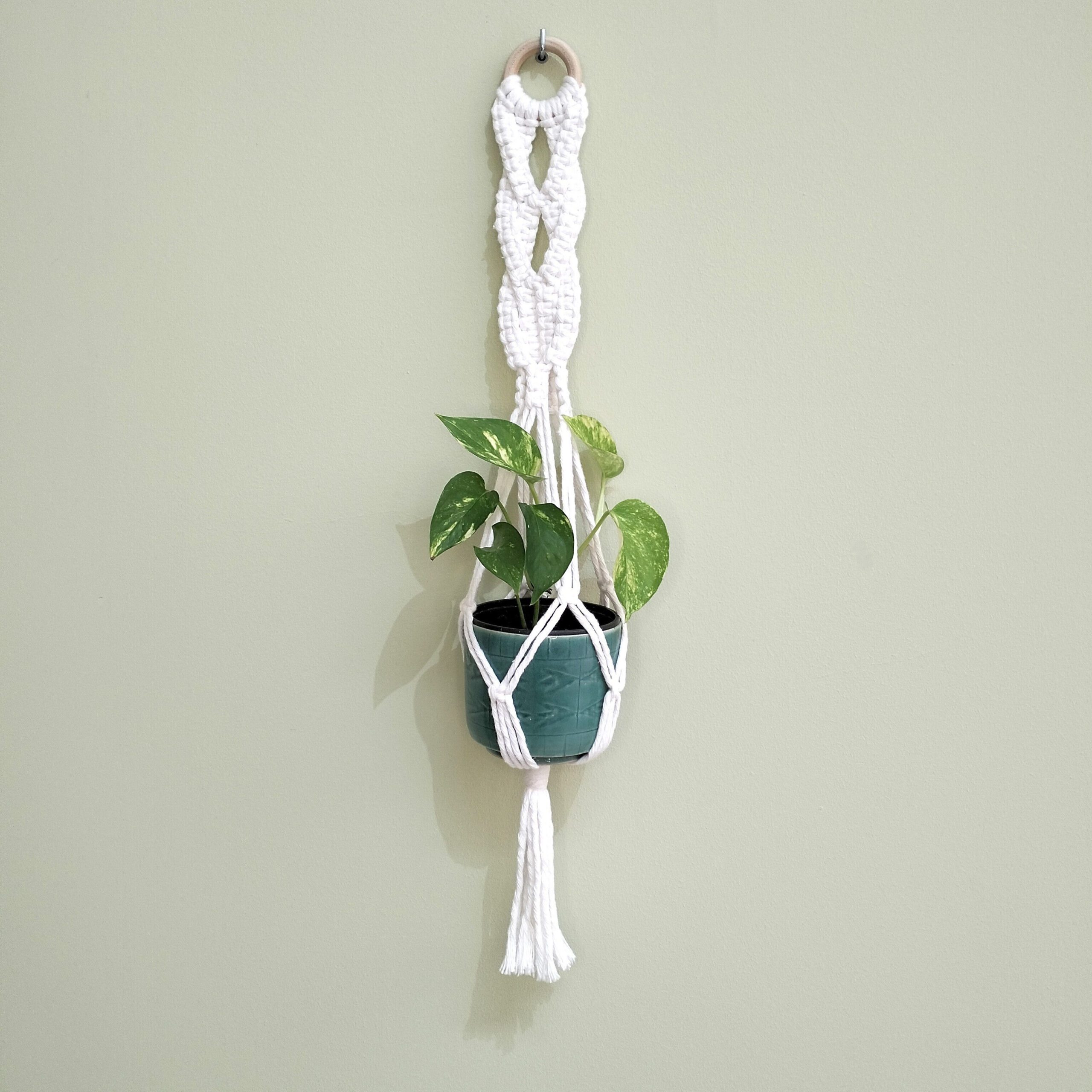 Suporte artesanal para vaso em macramé branco. Está suspenso com um vaso azul e planta verde dentro.