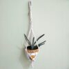 Suporte artesanal para vaso em macramé com efeito torcido. Está suspenso com um vaso pintado à mão com uma suculenta.