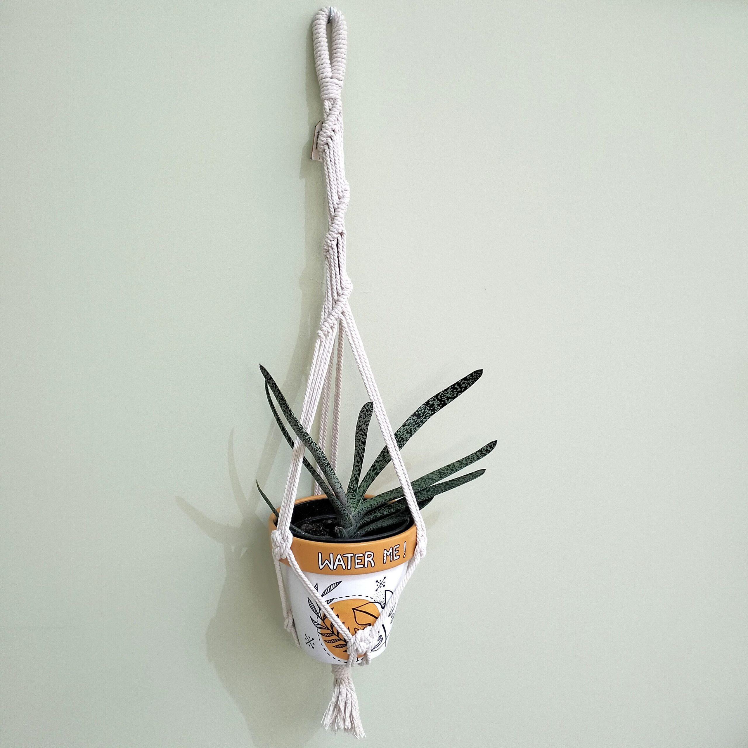 Suporte artesanal para vaso em macramé com efeito torcido. Está suspenso com um vaso pintado à mão com uma suculenta.