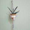 Suporte para vaso artesanal em macramé natural com bolas nas pontas, também elas feitas em macramé. O suporte está pendurado junto a uma parede com um vaso de teraacota pintado à mão em tons de laranja e uma suculenta dentro.