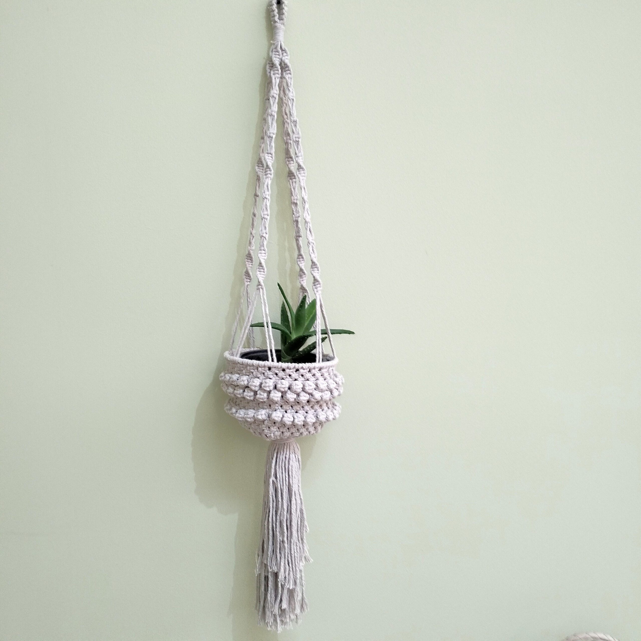 Suporte para vasos artesanal em macramé com pompons. Está suspenso junto a uma parede com um vaso com uma suculenta dentro.