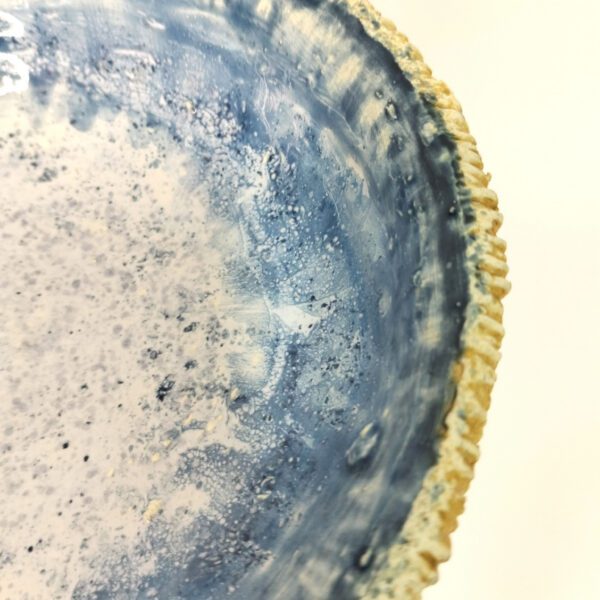 Cogumelo taça azul