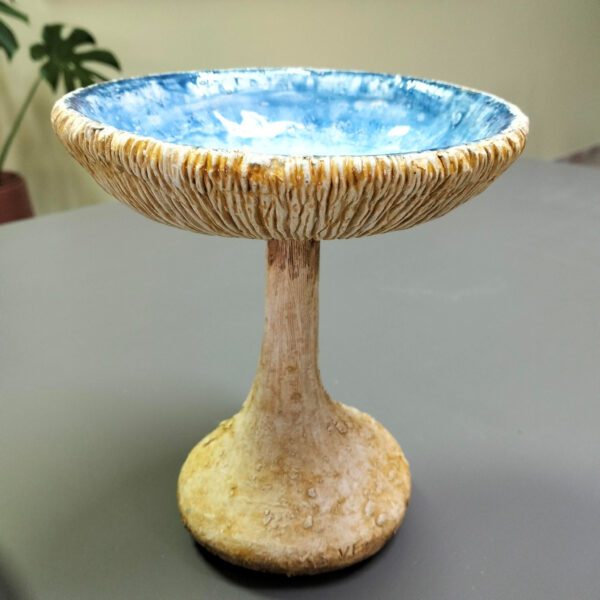 Cogumelo taça azul