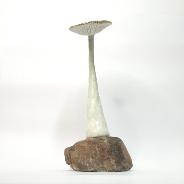 Cogumelo com base de pedra