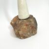 Cogumelo com base de pedra
