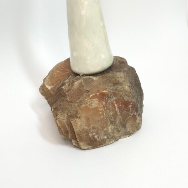 Cogumelo com base de pedra