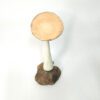 Cogumelo com base de pedra