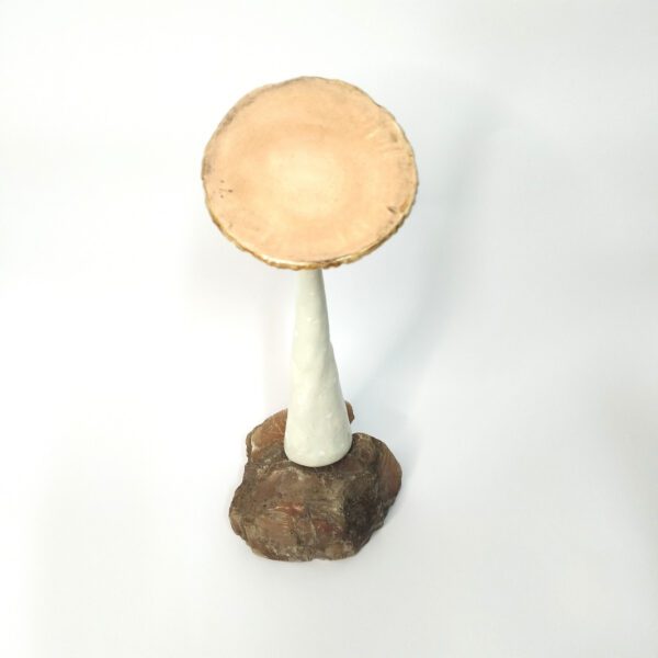 Cogumelo com base de pedra