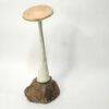 Cogumelo com base de pedra