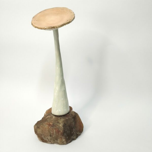 Cogumelo com base de pedra