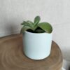Cachepot verde-água