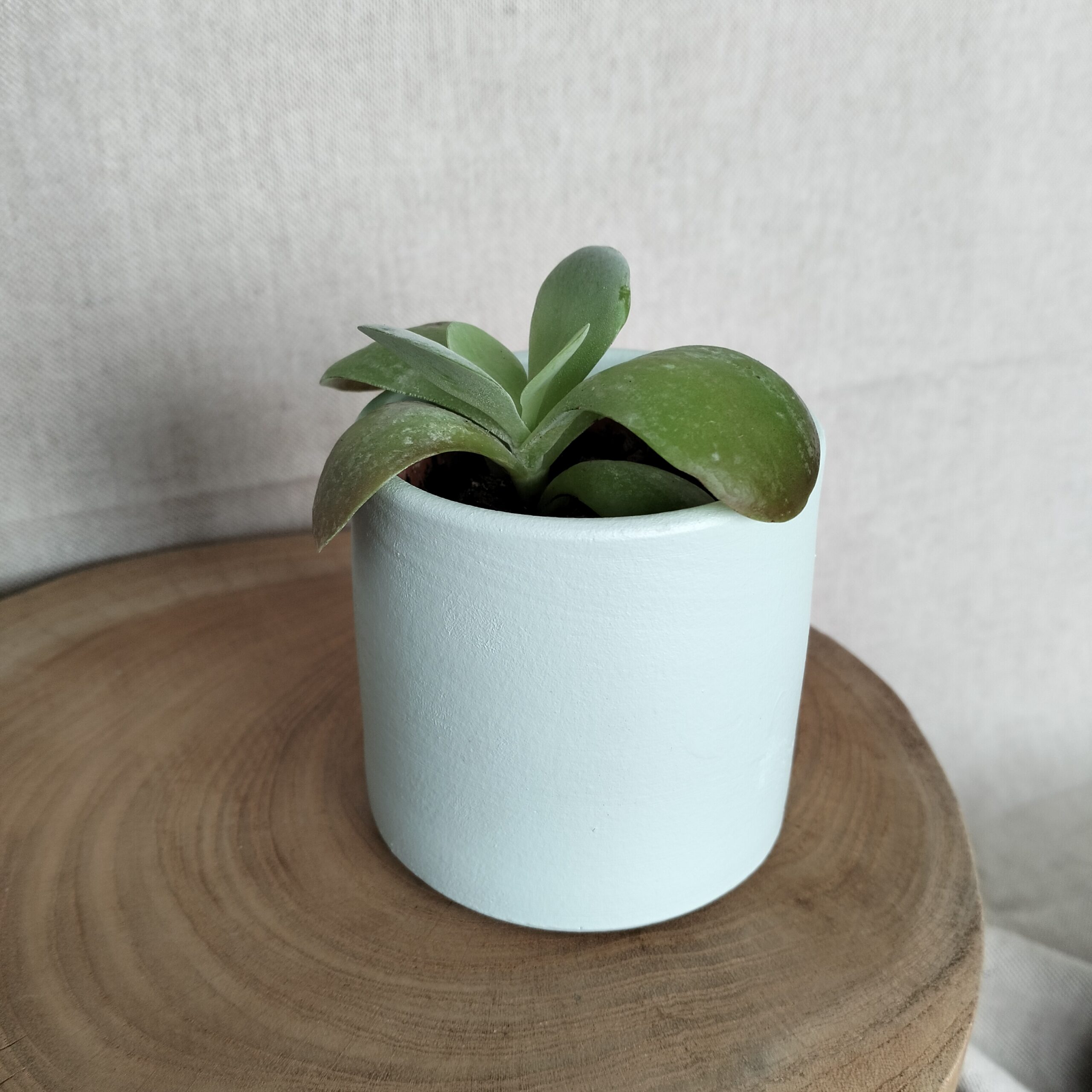 Cachepot verde-água