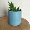 cachepot azul