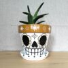 Vaso Skulls 15,5cm