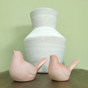 Conjunto de dois pássaros