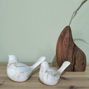 Conjunto de dois pássaros