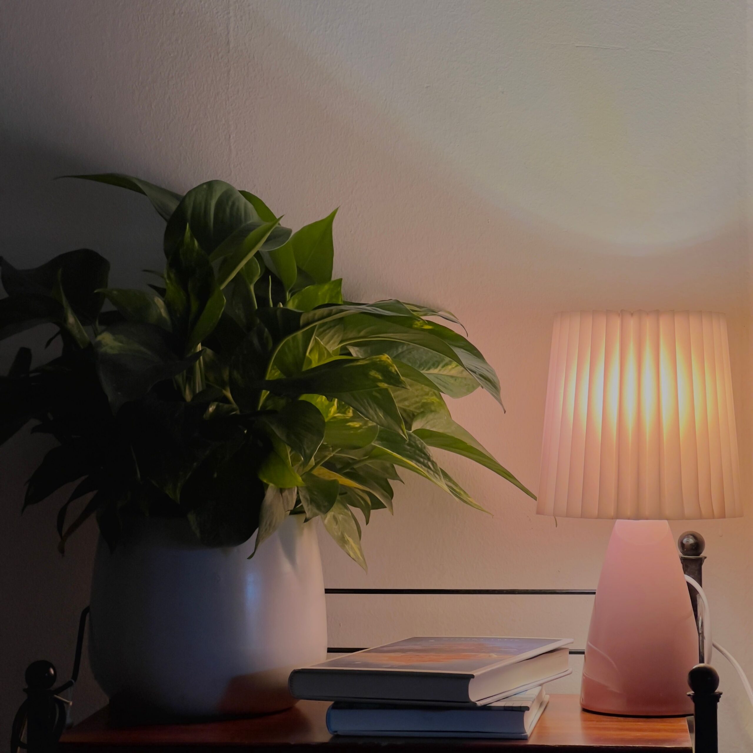 Mesa de apoio com vaso com planta, candeeiro e alguns livros.
